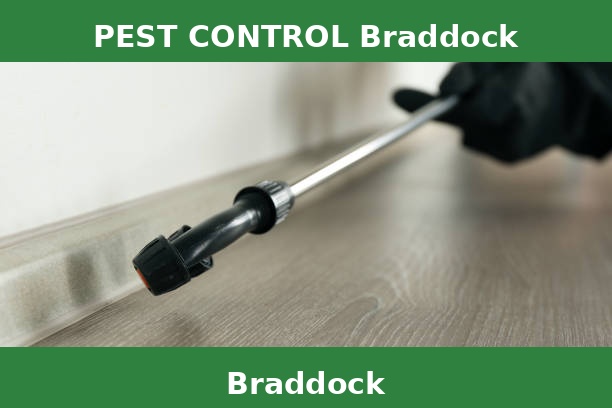 PEST CONTROL Braddock